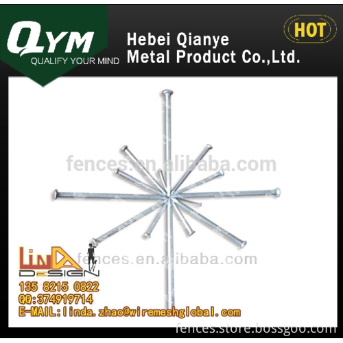 2015 QYM common nails/common iron nail/common wire nail